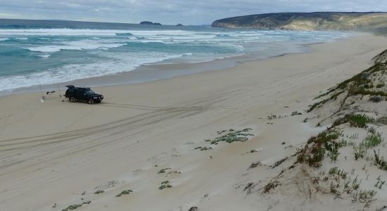 Foster Beach