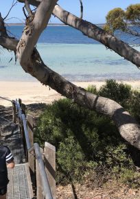Distretto di Port Lincoln