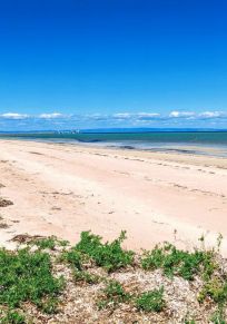 Distretto di Whyalla