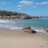 Basham Beach
