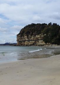 Conselho de Waratah-Wynyard