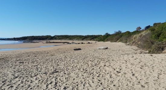Coles Beach
