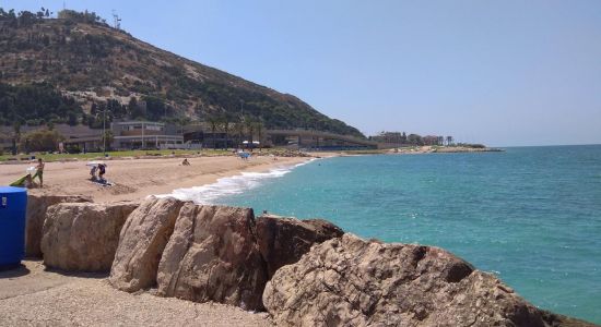 Yigal Amster beach