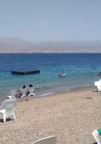 Taba
