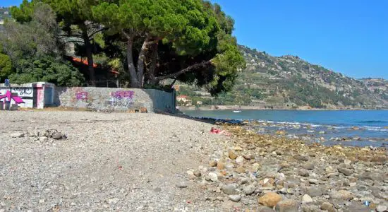Orengo Beach