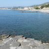 Amica Dog Beach