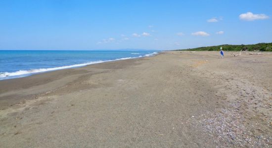 Spiaggia Oasi di Bolgheri
