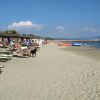 Pasha Glam Dog Beach