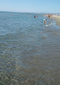 Marina di Maccarese