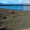 Spiaggia delle Mortelle
