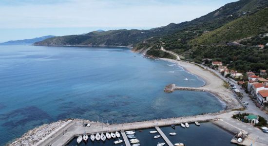 Spiaggia Festa