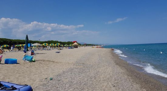 Plaża Salicetti