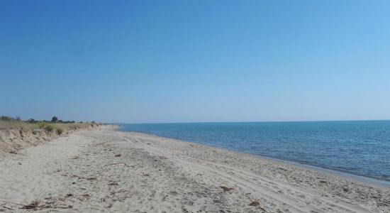 Bufaloria beach