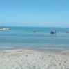 Margherita di Savoia III
