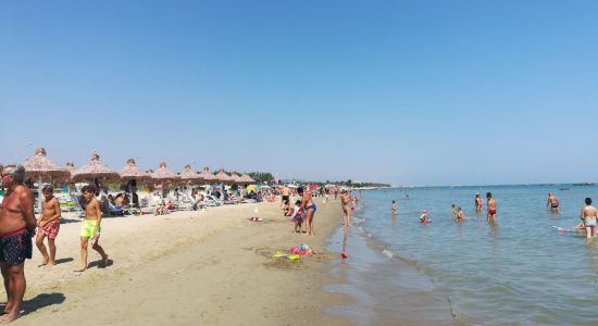 Plaża Cologna