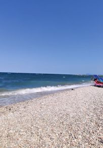 Επαρχία της Ανκόνα