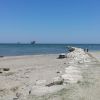 Spiaggia della Salicornia di Lido di Dante