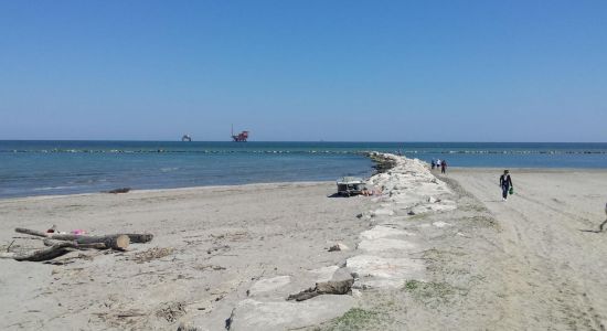 Spiaggia della Salicornia di Lido di Dante
