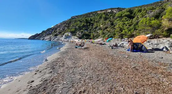 Spiaggia di Colle Palombaia