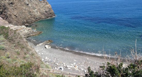 Spiaggia di Punta Polveraia