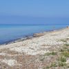 Spiaggia di Capo Feto