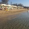 Spiaggia di Metaponto