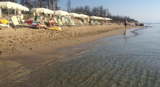 Metaponto Lido beach II