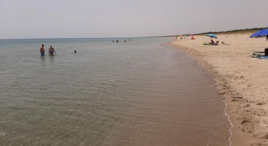 Pino Di Lenne beach
