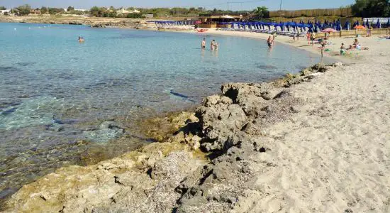 Spiaggia di Lido Checca