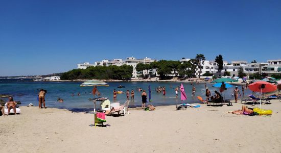 Spiaggia di Lido Torre