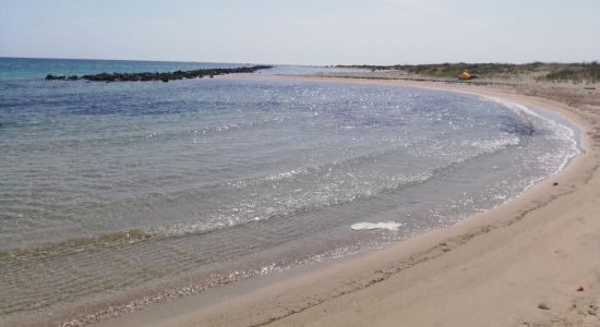 Cesine beach II