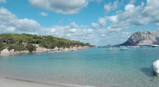Spiaggia di Cala Suaraccia