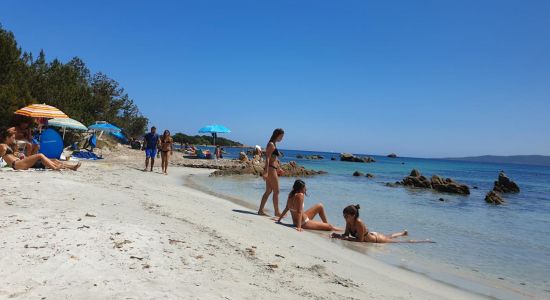 Spiaggia di Punta Aldia