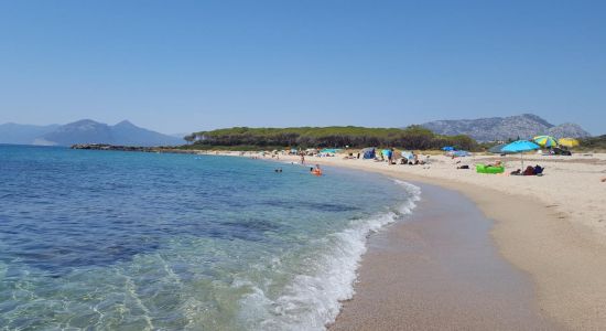 Spiaggia di Foghe Pizzinna