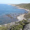Babari Beach