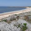 Spiaggia di Is Caogheddas