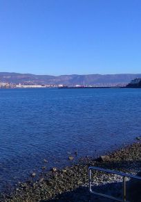 Orașul Trieste