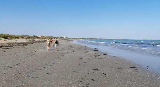 Plaja Alberoni