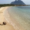 Isola dei Cavalli Beach