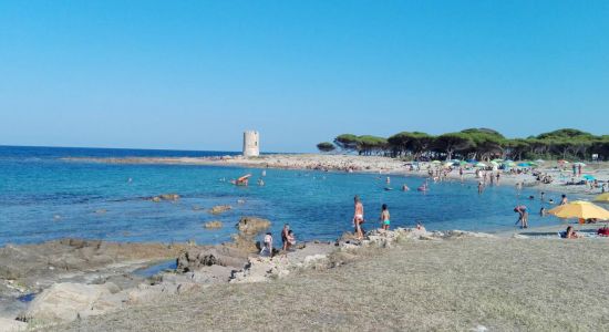 Spiaggia di Torre San Giovanni