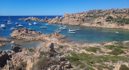 Lunga Cove