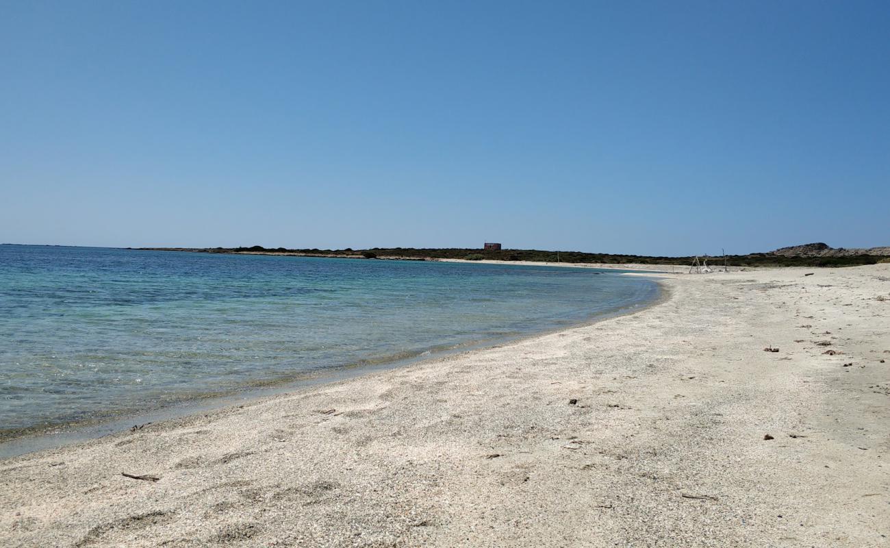 Spalmatore Beach in Asinara