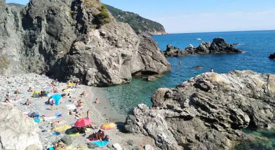 Bonassola Beach