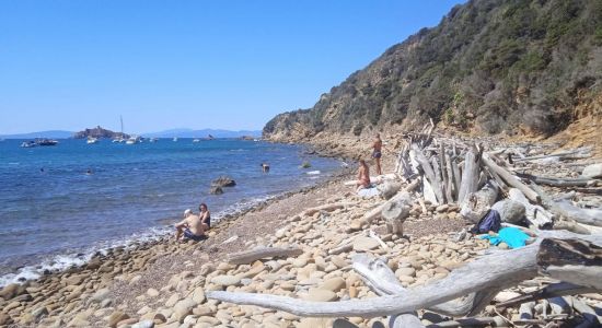 Cala Tartana Beach
