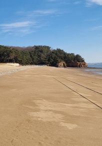 Città Metropolitana di Incheon