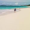 Cabbage beach