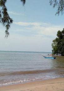 老港