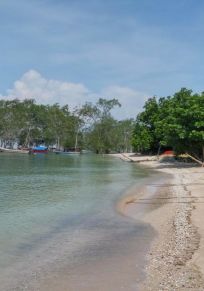 Koris