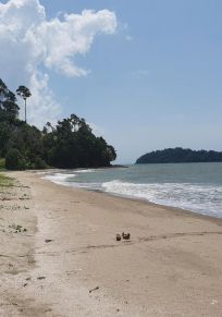 Kampung Penyabong Pantai
