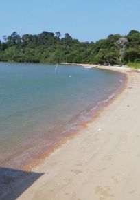 Kampung Penyabong Pantai